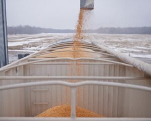 Grain conveyor | AST Canada