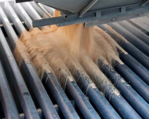 Process of mixing and blending grains | AST Canada